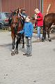 Tagesausritt Oktober 2008067